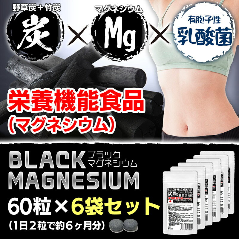 栄養機能食品　ブラックマグネシウム　60粒　6袋セット計360粒　約6ヶ月分　31種の野草炭＋国産孟宗竹に有胞子性乳酸菌プラス　2粒でマグネシウム3億個　腸まで届く有胞子性乳酸菌使用　 炭チャコール×Mg　乳酸菌　トリプル処方 auc-wakasugi-10002771 サプリメント健康雑貨のお店 若杉 サンプル画像2