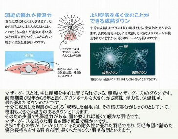 羽毛布団 マザーグース93% 西川 シングル DP430 高級 京都西川 ダブルフェイス ローズ羽毛布団 【送料無料】【限定特価】