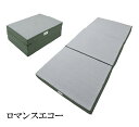 ロマンスエコー マットレス シングル 腰痛 ロマンス小杉【専用カバーと除湿シートプレゼント】