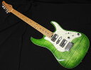 SCHECTER SD-2-24-VTR-FM/LGB/RM Light Green Burst シェクター フレイムメイプル ライトグリーンバースト ローステッドメイプル エレキギター【送料無料】【限定生産モデル】