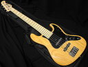 Fujigen FGN NJB10MBAHV VNT フジゲ