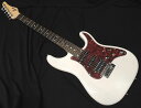 SCHECTER OL-ST BLD VFN^[ XggLX^[ ^Cv BLONDE GLM^[ uhyz