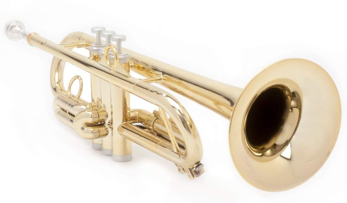 【最大2000円OFFクーポン】pInstruments ピーインストゥルメンツ プラスチック製管楽器 トランペット pTrumpet hyTech Bb調 軽...