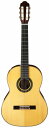 ARIA A-100S アリア クラシックギター ナイロン弦 スプルース ローズウッド オール単板