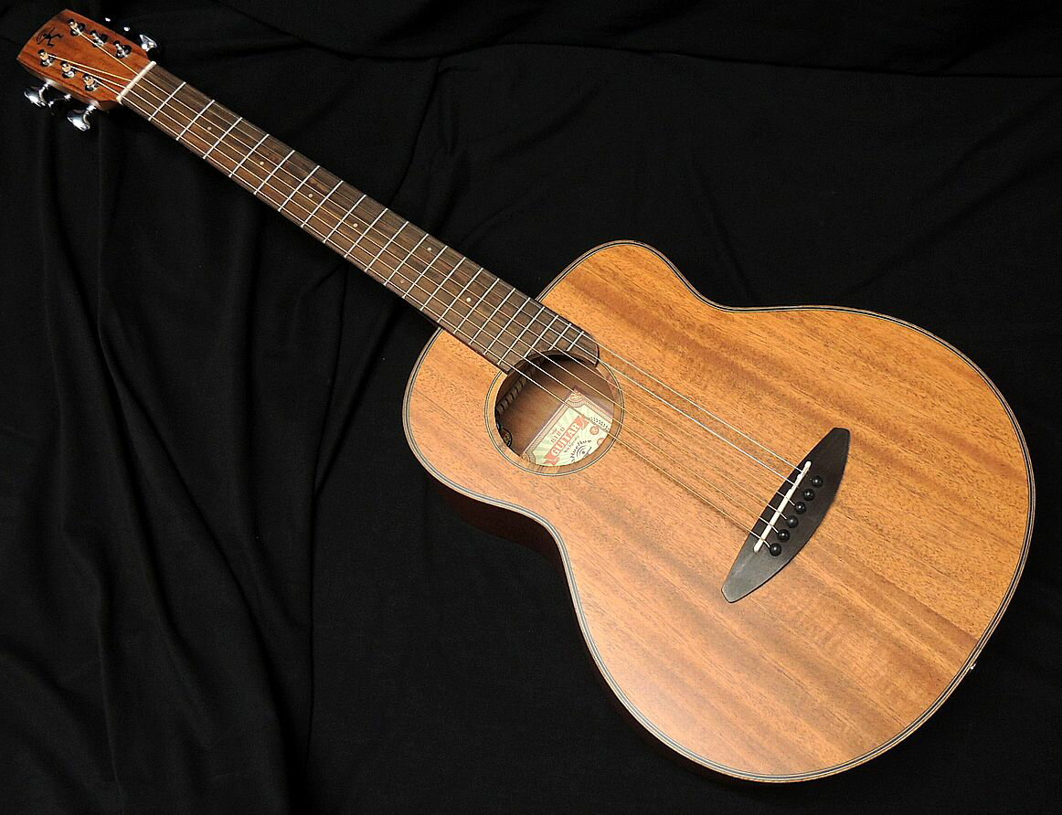 aNueNue Bird Guitar aNN-M20E Solid Mahogany Top マホガニー単板トップ アヌエヌエ ミニ アコースティックギター エレアコ【送料無料】