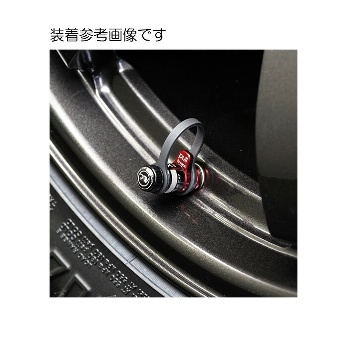 レイズ APEX DESIGN RAPID PRECISION スタンダード エアバルブ 1セット(4個入り) 6505AX0202001