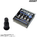 レイズ ハイスピード エアーコントロールバルブ ブラック 74151000000BK