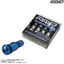 レイズ ハイスピード エアーコントロールバルブ ブルー 74151000001BL