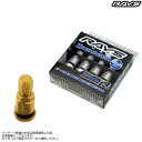 レイズ ハイスピード エアーコントロールバルブ ゴールド 74151000000GL