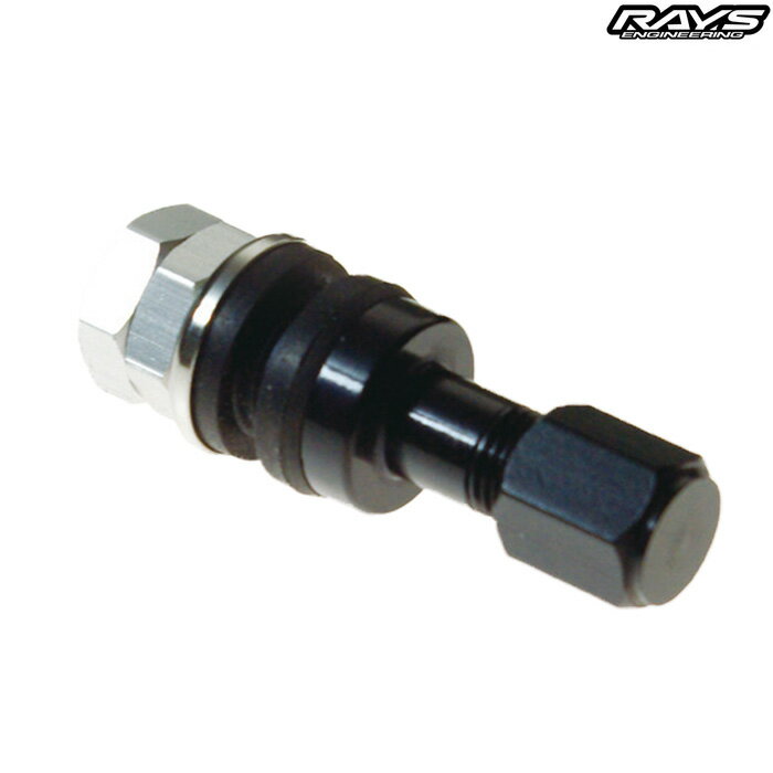 レイズ No.21 インサイド アルミ エアーバルブ ブラック 4個セット 65050000035BK