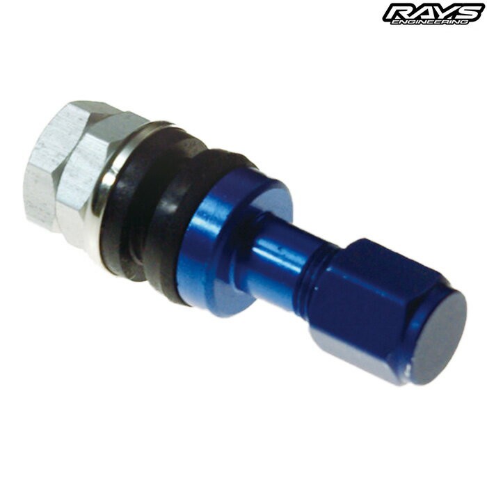 レイズ No.22 インサイド アルミ エアーバルブ ブルー 4個セット 65050000034BL