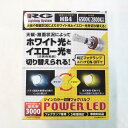 RG LEDフォグバルブ ツインカラー [12V・24V車 バルブ形状 HB4] レーシングギア ライトパーツ 品番：RGH-P552