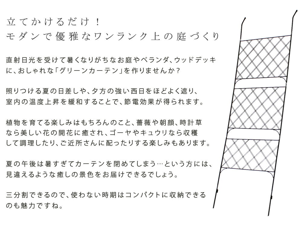 【代引不可】アイアン製グリーンカーテン アーガイル 2枚組【送料無料 フェンス アイアン グリーンカーテン ゴーヤ 薔薇 バラ 朝顔 庭 ベランダ ガーデニング 枠 柵 仕切り 目隠し 境目 アンティーク トレリス 園芸 ラティス 屋外 】 3