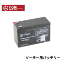 タイガー 交換用 ソーラー用 バッテリー