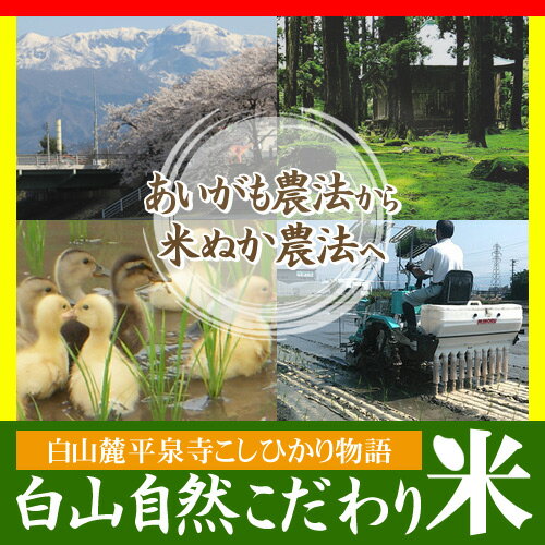 【平成30年度産新米】福井県産白山自然こだわり米 コシヒカリ 5kg