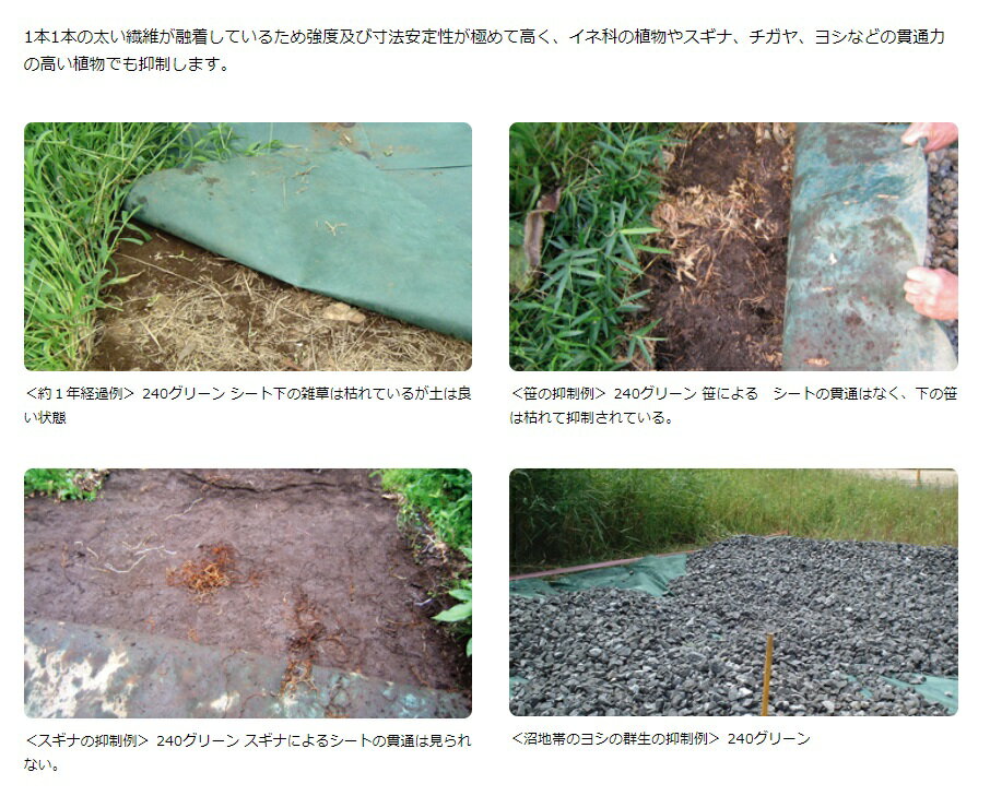 防草シート ザバーン 240G 幅1m×長さ30m 超強力防草シート 雑草シート 雑草防止シ...