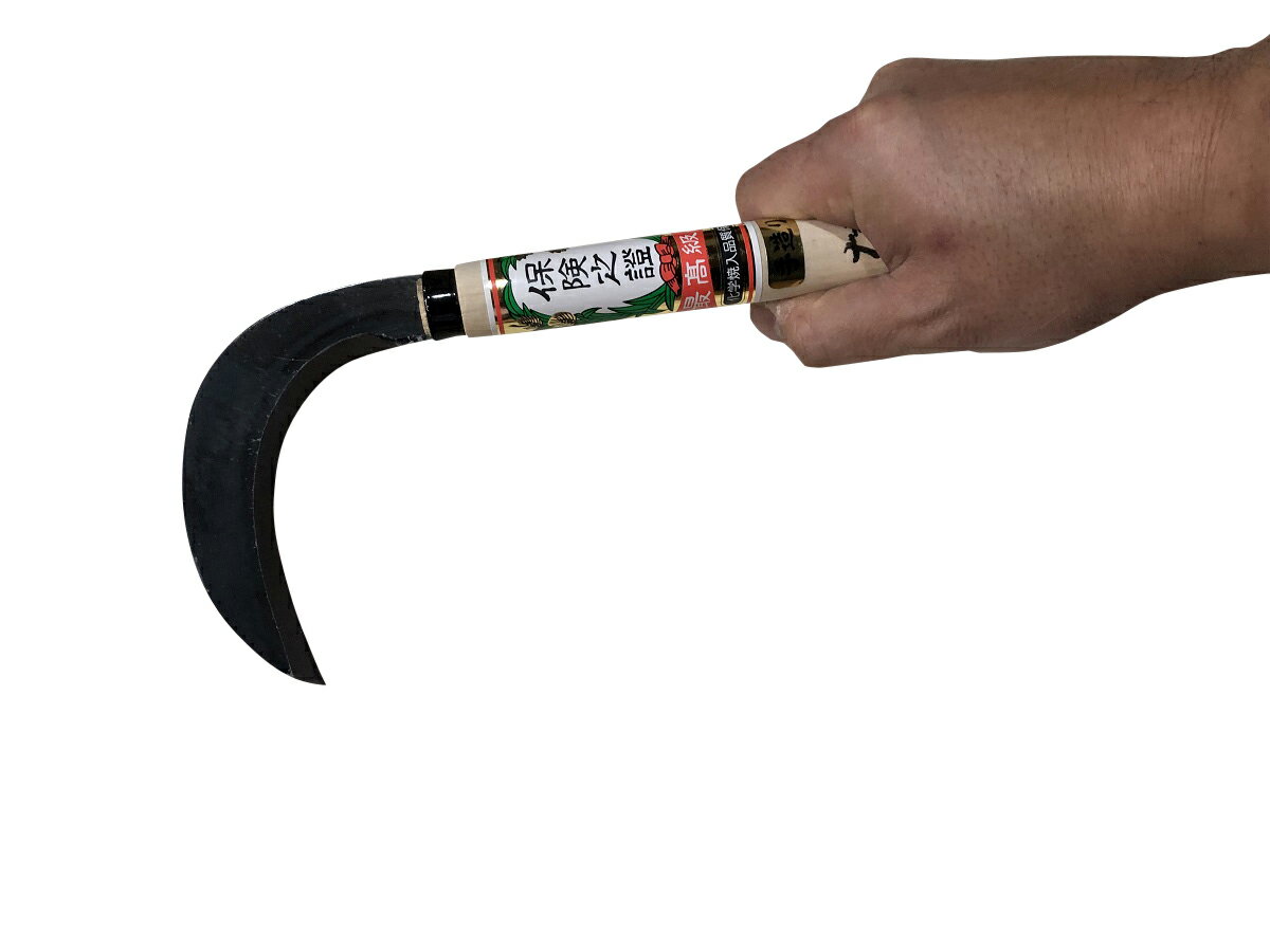 ����޳� �����ǿ�ʪ ���� ���� ������� ��ʧ�� �𴢤� ���������� ������ �ڤ�̣ ��ȸ�Ψ ���� ����