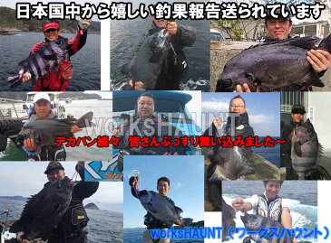 新色!餌ずれストッパー 10セット入り ホワイト 1パック 石鯛 仕掛け エサ ウニ サザエ 赤貝 イシダイ クチジロ クエ