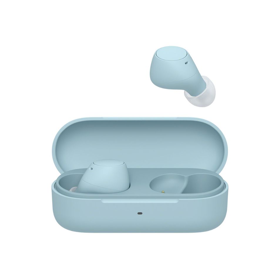 �ڿ��� Ȣ���ɡ��������ˤ��ʡ�SONY ���ˡ� �����磻��쥹����ۥ� WF-C510 LC �֥롼