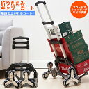 【全品最大P14倍! 5/2～5/6まで】キャ