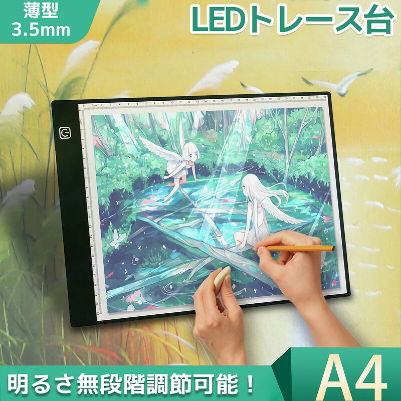 【全品最大P23倍! 5/15まで】LED トレ