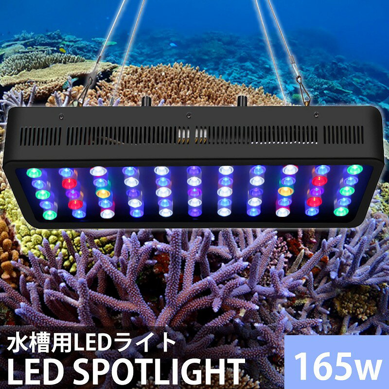 安いサンゴ ledの通販商品を比較 | ショッピング情報のオークファン 安いサンゴ ledの通販商品を比較 | ショッピング情報のオークファン