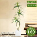 【全品最大P23倍●11日01:59まで】観葉植物 フェイク ユッカツリー 人工観葉植物 160cm 鉢付き リアル シンプル 水やり不要 インテリア 玄関 リ...
