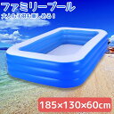 【全品P10倍●27日まで】ビニールプール 大型 子供用 家庭用プール ファミリープール 大型プール キッズプール ガーデンプール レジャープール エアープール...