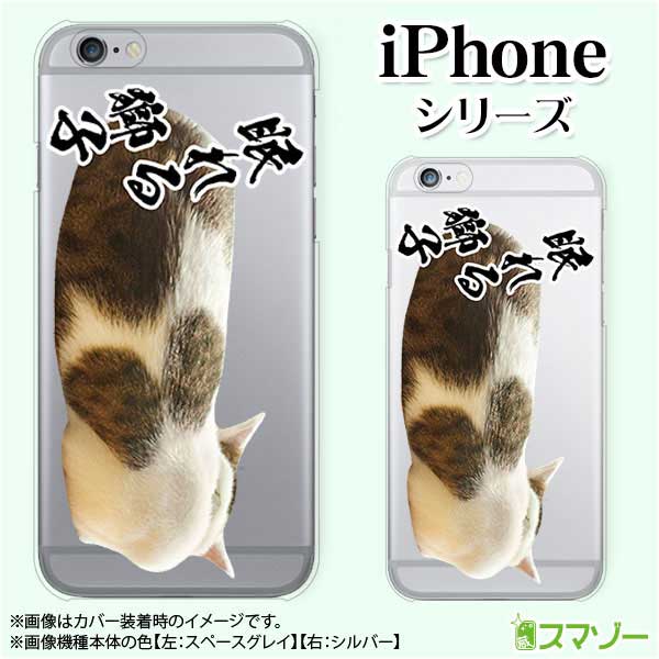 Apple スマホケース【iPhone 14 / Plus / Pro / Pro Max / 13 / 12 / SE / 11 / XS / XR / X / 8】 眠れる獅子！2 ネコ 猫 動物 アニマル スマホ ケース ハード カバー アップル アイフォン docomo ドコモ au ソフトバンク
