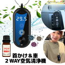 レビュー投稿でアロマパッドプレゼント中!ポータブル アロマ 空気清浄機 ネックレス 車用 USB充電式 マイナスイオン 発生器 空気清浄 花粉 ニオイ 感染 対...