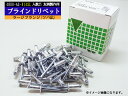 【エントリー購入でP5倍♪〜8/11 1:59まで】ブラインドリベット ツバ広 アルミ スチール リベット長30.0mm 頭径19.0mm 25入 4800-A...