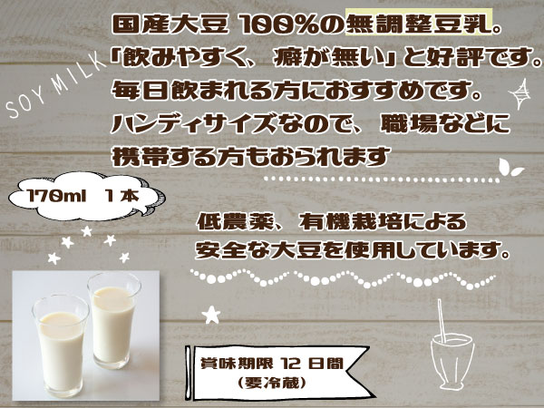 豆乳 170ml 1本 無調整 国産大豆 100％ ハンディサイズ 夢石庵 むせきあん 206 税率8％