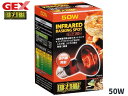GEX ヒートグロー 赤外線照射スポット ランプ 50W PT2141 爬虫類 両生類用品 爬虫類用品 ジェックス EXO TERRA