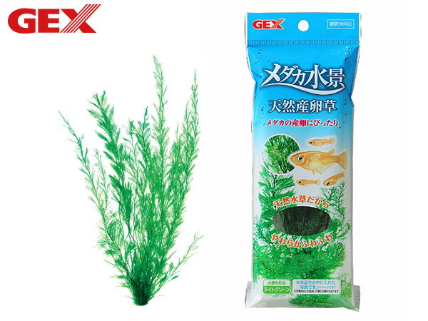 【最大20倍P買いまわりでポイントアップ 5/20のみ! 】GEX メダカ水景 天然産卵草 熱帯魚 観賞魚用品 水槽用品 アクセサリー ジェックス