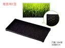 【8/1限定!3点以上購入でP最大20倍★】稚苗用 育苗箱 水稲用 184穴 60×30×3.7cm 30個セット 稚苗用E型 エコタイプ 黒 ブラック アイカ...