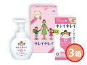 ライオン キレイキレイ ギフトセット 3箱 ハンドソープ 除菌ウェットシート LKG-6A 化粧箱入 お祝い 返礼品 贈答 進物 ギフトプレゼント