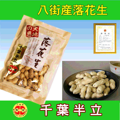 黒豆 丹波 国産 国内産丹波黒黒豆 スタンドパック 150g 志賀商店 2袋セット 送料無料