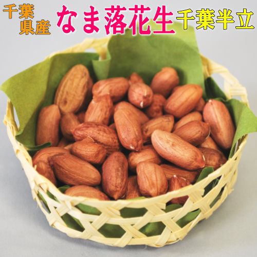 楽天市場】生落花生 千葉の通販 楽天市場】生落花生 千葉の通販