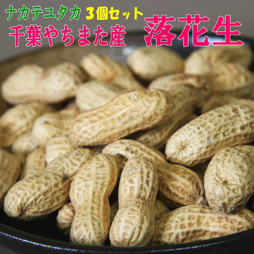 2024年産 新豆から付 落花生 「ナカテ」3個セット千葉 やちまた 産 ピーナッツおつまみピーナツ