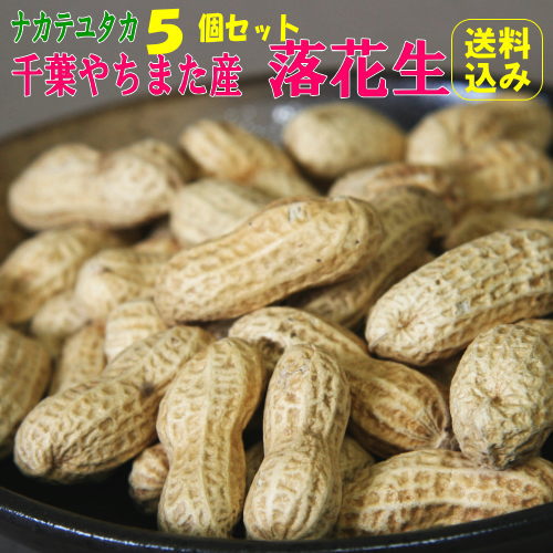 2023年産 新豆から付 落花生 「ナカテ」5個セット千葉 やちまた 産ピーナッツおつまみピーナツ【送料無料】