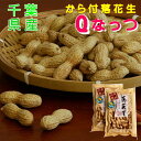 千葉 八街産 落花生 「 Qなっつ」 から付 100g×2袋 おつまみやちまた産 ピーナッツ国産落花生レターパック