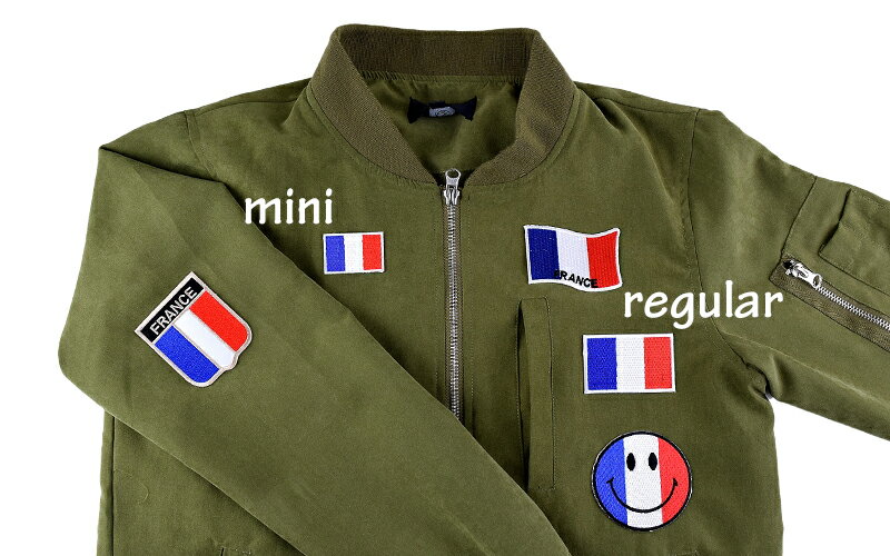 アイロンワッペン//France フランス国旗 ミニサイズ トリコロール　(フレンチ 仏軍 Paris)