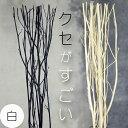 【20cm or 30cm 30g】アロマディフューザー用リードスティック 天然 リアルウッド (香り twig ルームフレグランス 交換用 業務用 aroma)