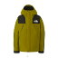 THE NORTH FACE ザ・ノース・フェイス MOUNTAIN JACKET マウンテン ジャケット メンズ M サルファーモス SM NP61800