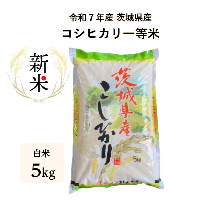 【米】【5kg】【コシヒカリ】【7年産】【一等米】【白米】【精米】【二重包装】「7年産 茨城県産コシヒカリ一等米 白米5kg」