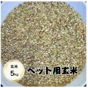 【送料無料地域あり】【お米】【ペット】【えさ】【玄米】【5kg】「ペット用のお米☆玄米5kg」