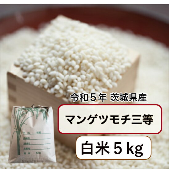 ̵ϰ褢ۡۡڥޥ󥲥ĥۡڤơۡ5kgۡơۡ5ǯ 븩 ޥ󥲥ĥ 5kg