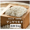 【送料無料地域あり】【令和5年産】【もち米】【米】【5kg】【精米】「令和5年産 茨城県 マンゲツモチ☆白米5kg」