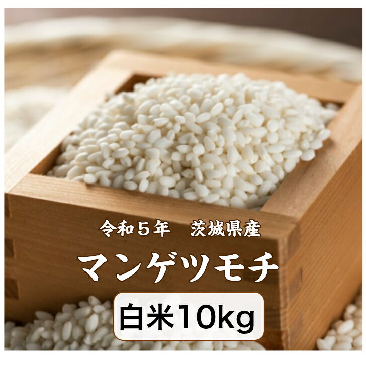 【送料無料地域あり】【令和5年産】【もち米】【10kg】【白米】 令和5年産 茨城県 マンゲツモチ☆白米10kg 