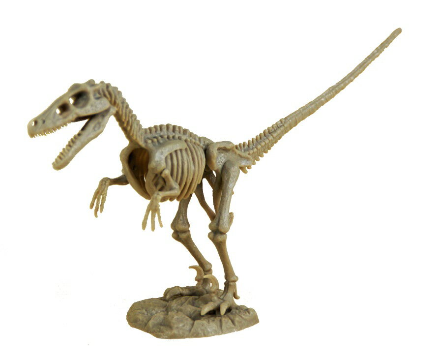 恐竜の組み立てるおもちゃ 恐竜発掘セット【ベロキラプトル】 化石 恐竜 骨 プレゼント 知育玩具 夏休み 自由研究 掘る